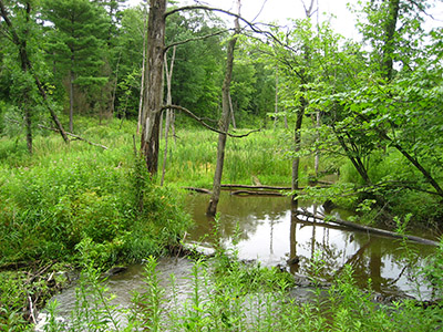 Did You Know? - Things you may not know about the Adirondack Park